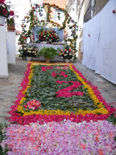 alfombras de flores y altar en bogarra photo