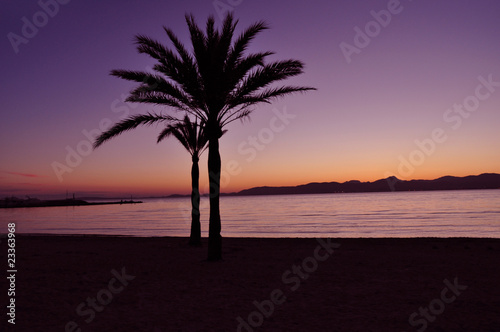 Beach Palma de Mallorca