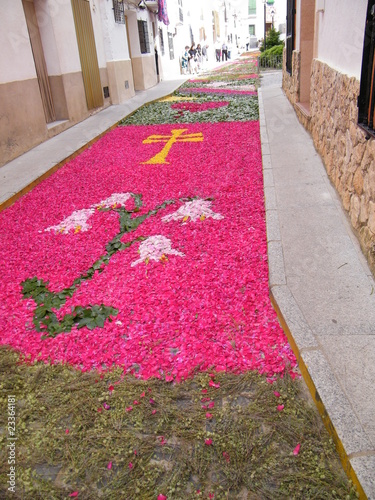 alfombras de flores en bogarra photo