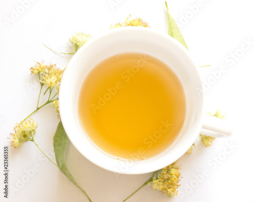 cup of linden tea photo