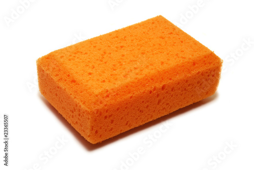 sponge isolated