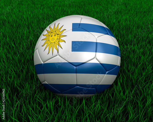 Uruguayan soccer ball