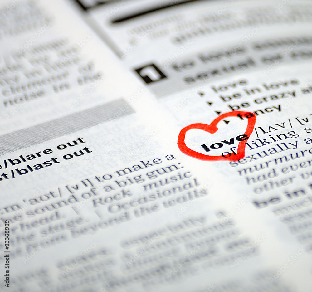 Fototapeta premium word selection in the dictionary