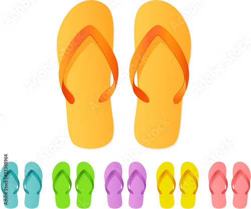 Flip Flops