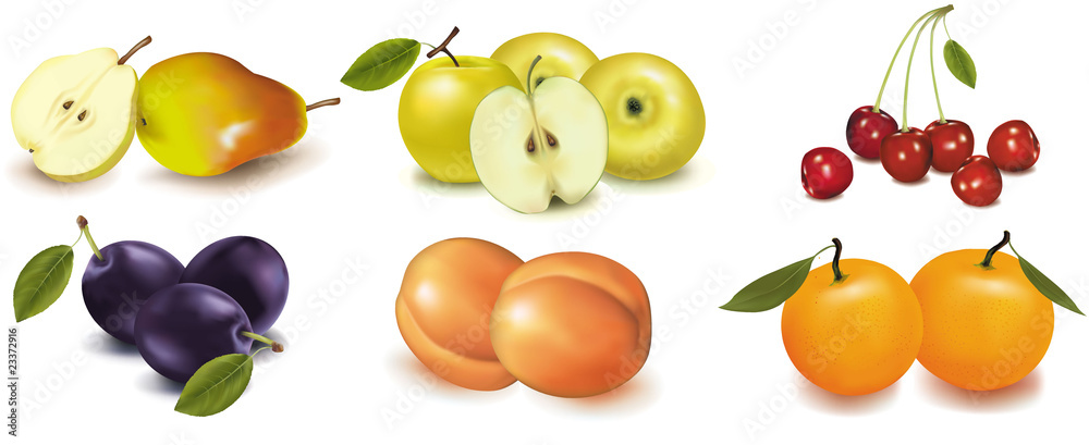 Vector. Pears, apples, peaches, plums and cherries. Vector. Pears, apples, peaches, plums and cherries.