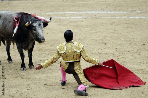 Matador on Knees Before Bull