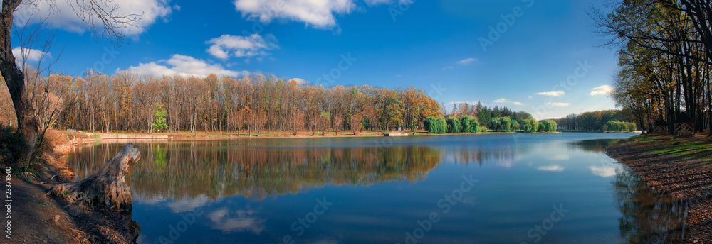 Forest reflection panorama