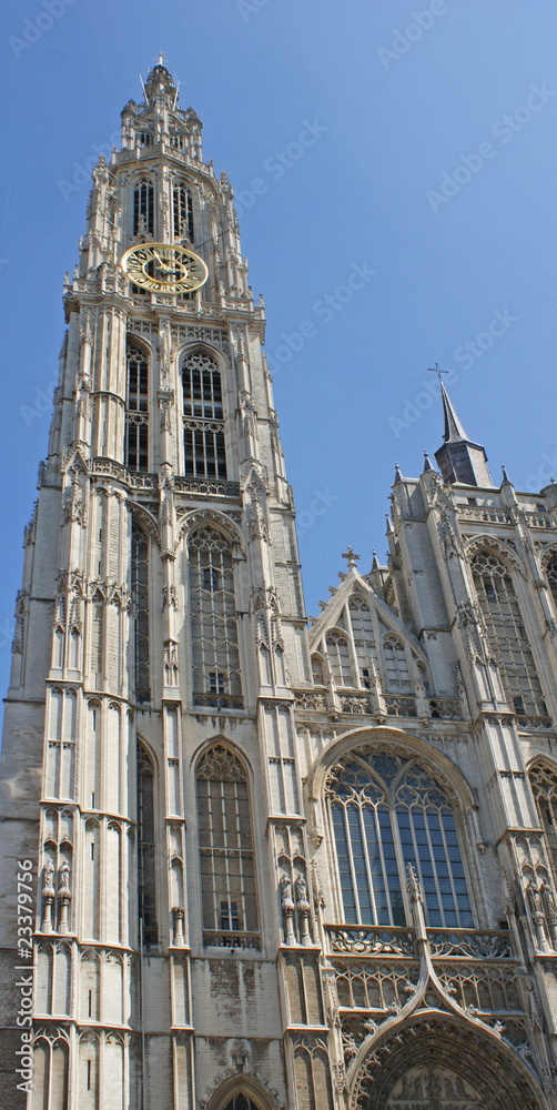 Obraz premium Kathedrale von Antwerpen / Belgien