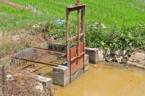 water gate and paddy field