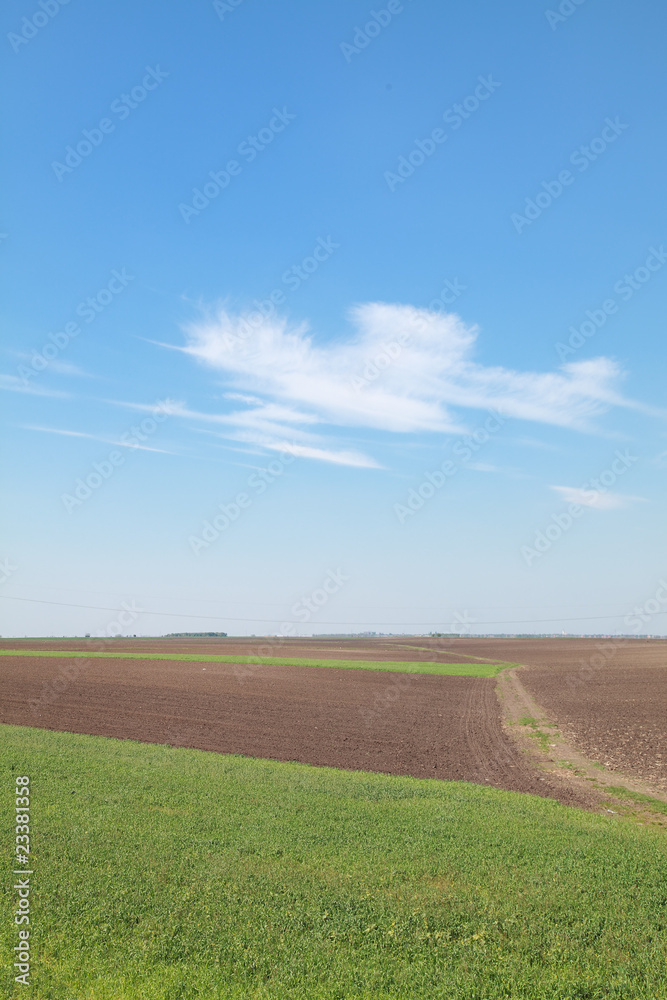 Agriculture, cultivated land with country road