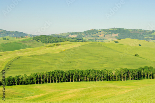 Toskana Huegel  - Tuscany hills 28