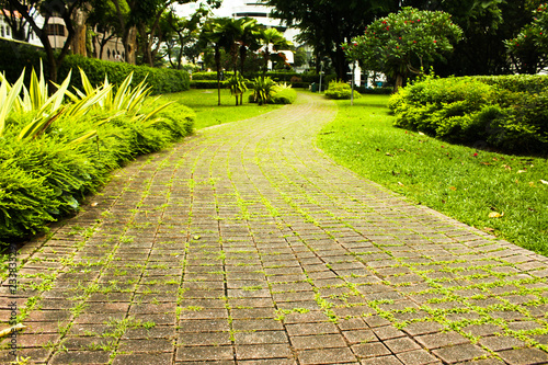 footpath in a garden