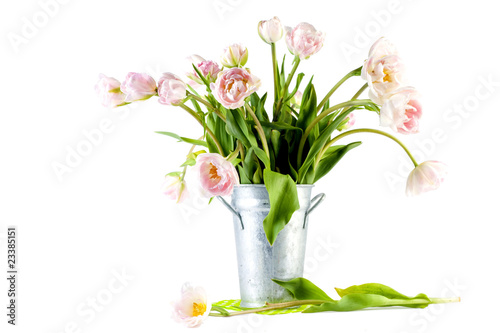 Wallpaper Mural tulips in a vase Torontodigital.ca