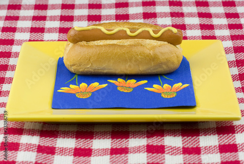 One hot dog with mustard
