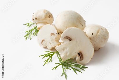 Portabello Mushrooms isolated photo