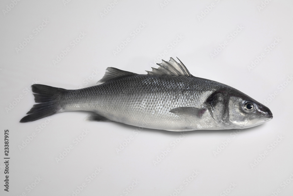 Naklejka premium pez