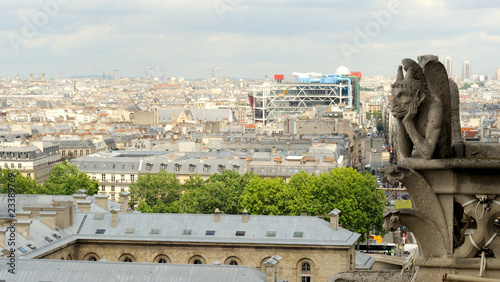 Gargouille de la cathédrale notre dame de Paris © Production Perig