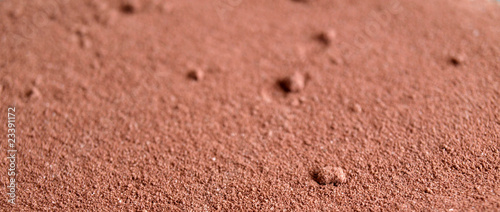 Chocolat en poudre