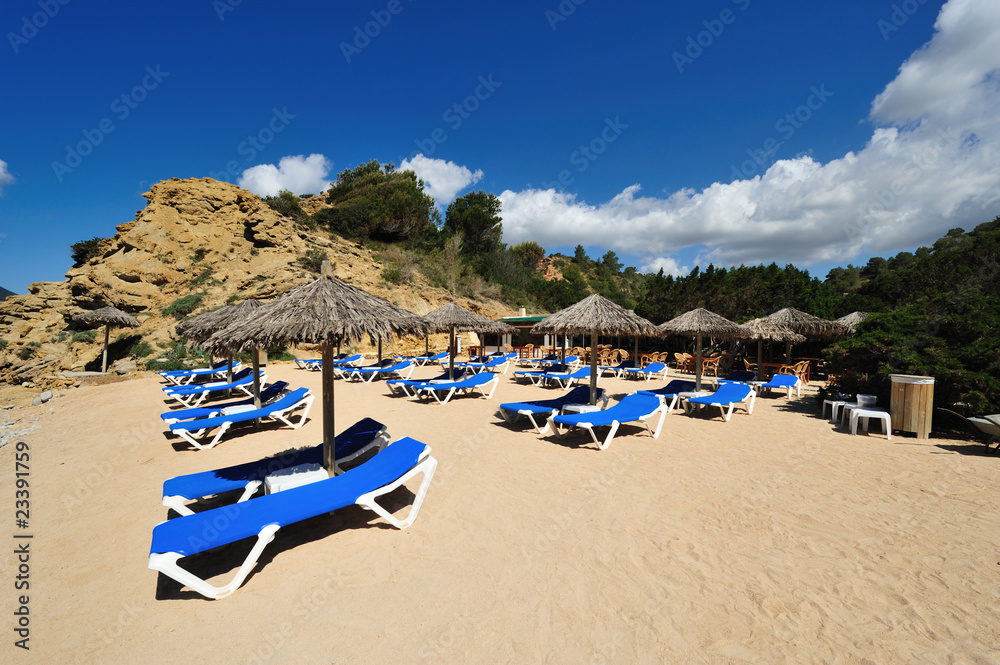 Obraz premium Beautiful small beach in Ibiza