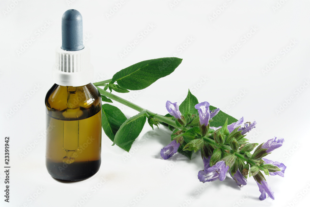 salbei mit tropfflasche salbei mit tropfflasche
