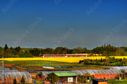 Zwischen Hasloh und Quickborn - am Rapsfeld vorbei. photo