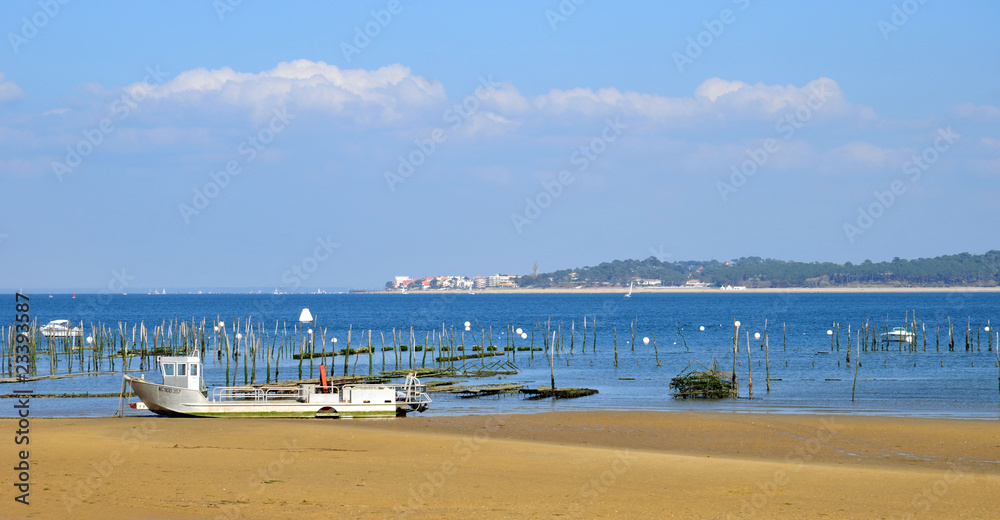 Obraz premium Panoramique du bassin