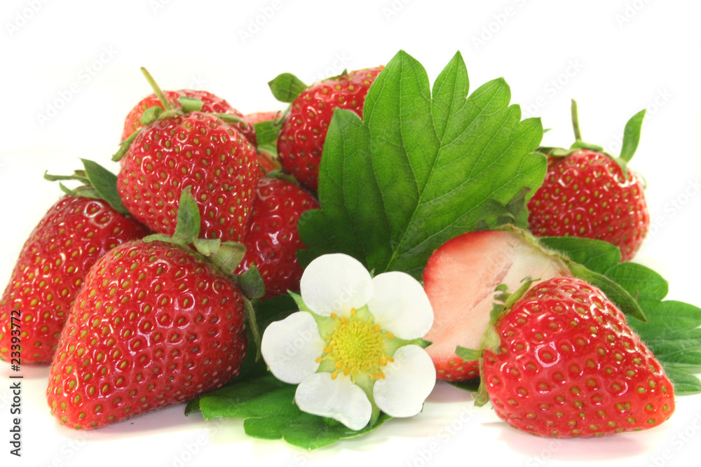Erdbeeren Erdbeeren