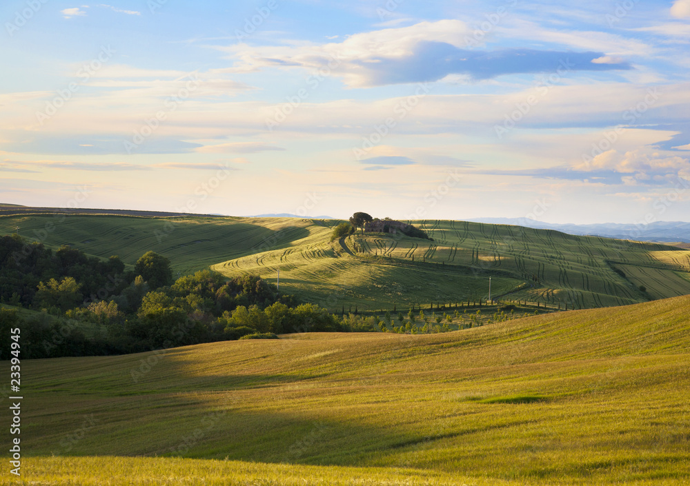 Fototapeta premium Tuscany Landscape