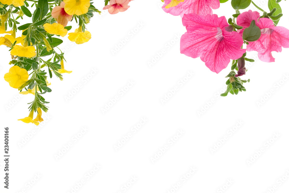 Fototapeta premium Ramka kwiatowa.