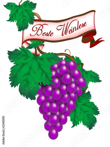 Weinlese