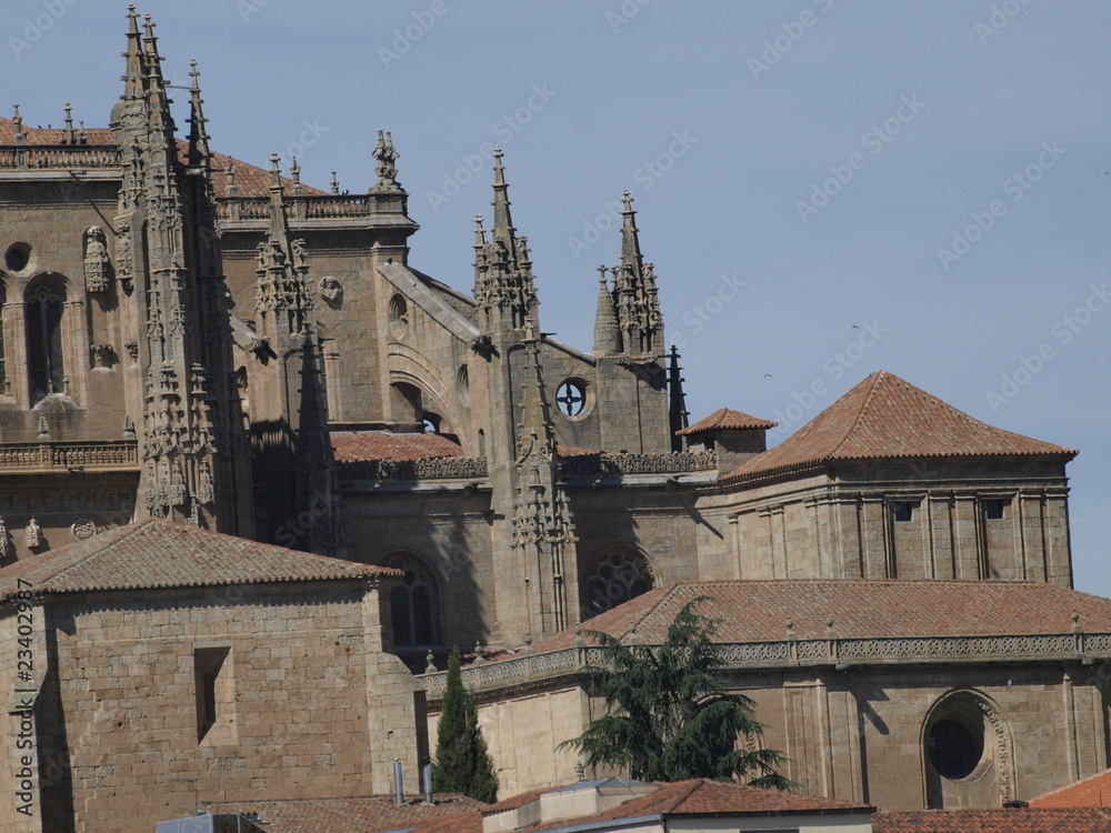 Detalle de la Catedral Nueva de Salamanca