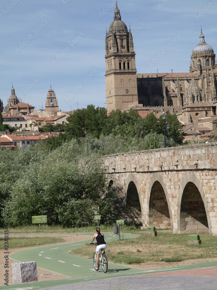 Obraz premium Puente medieval en Salamanca y catedral