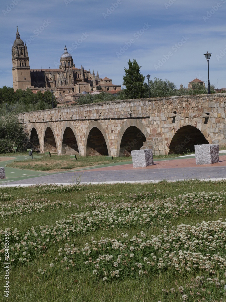 Obraz premium Catedral Nueva de Salamanca y puente medieval