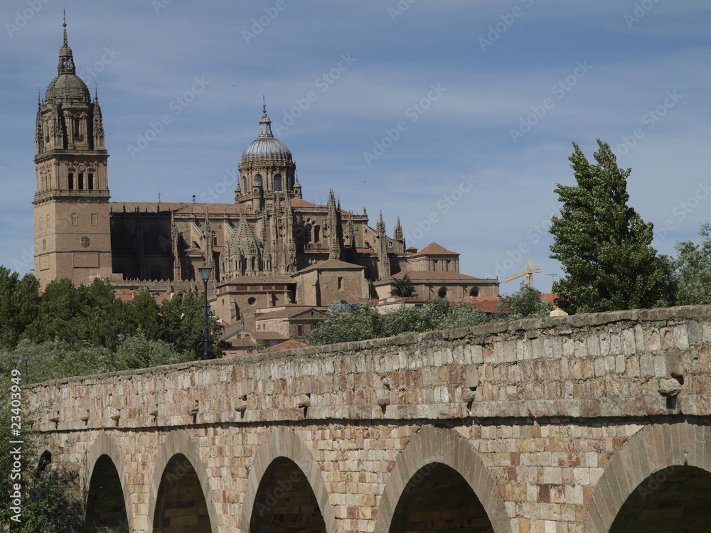 Catedral Nueva de Salamanca desde el puente medieval
