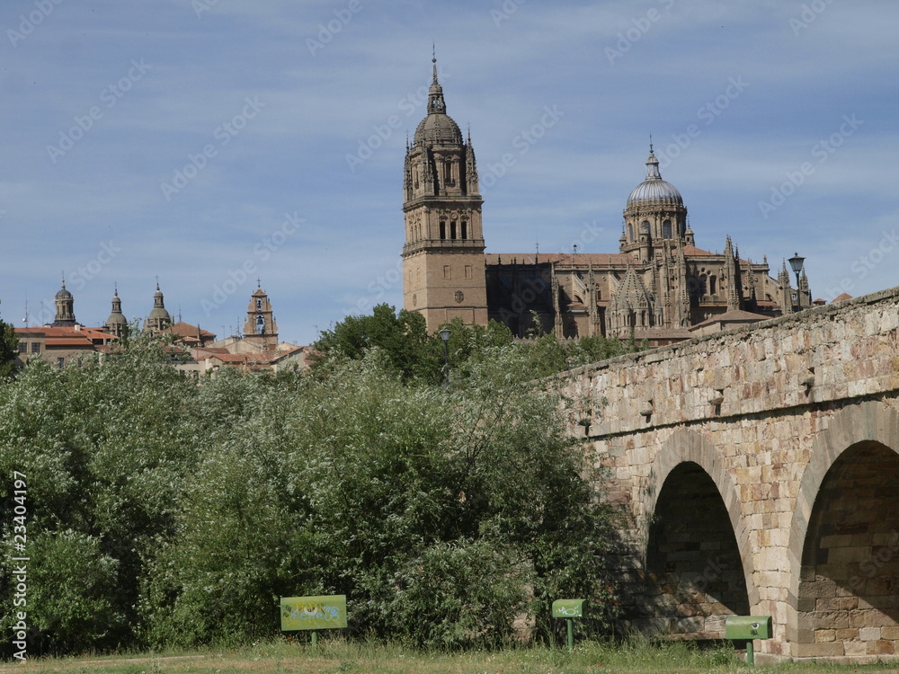 Catedral Nueva de Salamanca y puente medieval