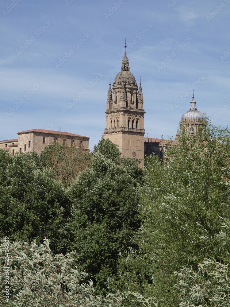 Torre de la Catedral Nueva de Salamanca desde el Tormes