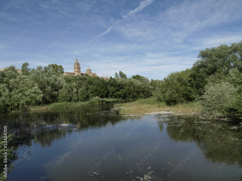 Catedral Nueva de Salamanca desde el Tormes Catedral Nueva de Salamanca desde el Tormes