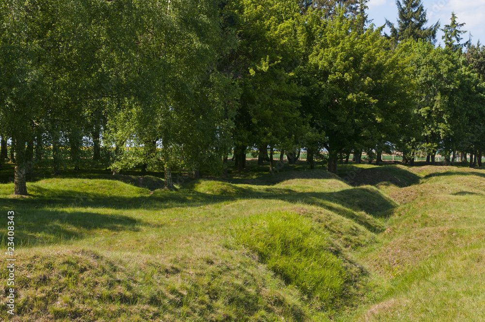 Mémorial Terre-Neuvien et vestiges de tranchées - Beaumont-Hamel