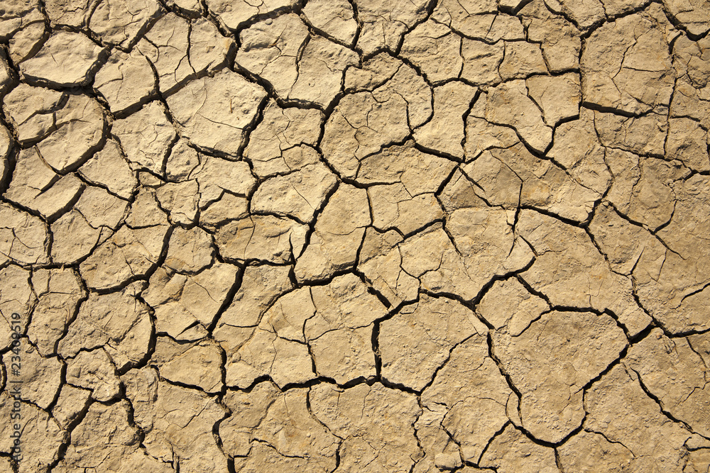 dry earth texture dry earth texture