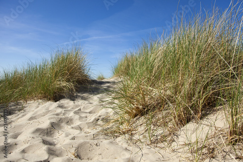 dune at normandy north sea coast