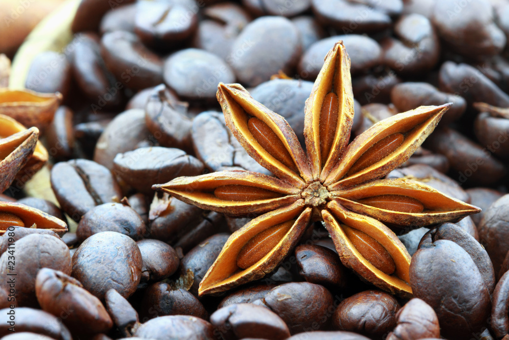 Anise Star and Coffee Beans Anise Star and Coffee Beans