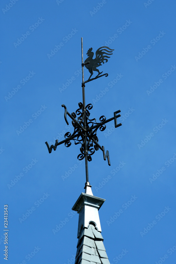 Obraz premium Rooster weather vane