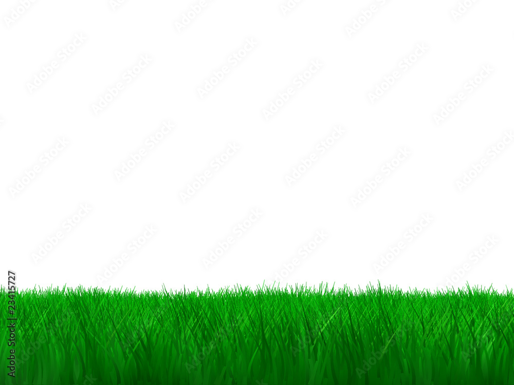 CGI green grass isolated on a white background CGI green grass isolated on a white background