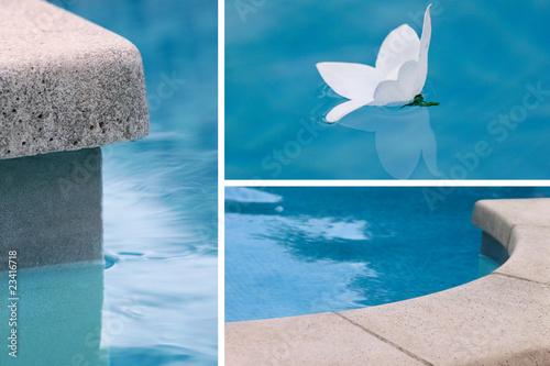 Foto composition aquatique