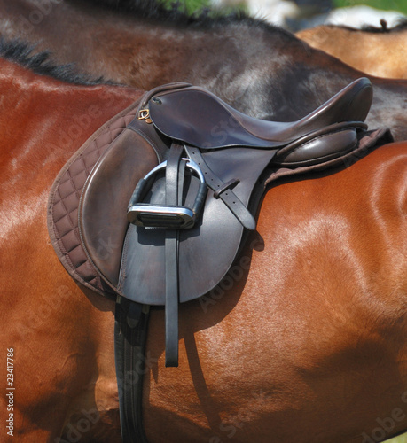 saddle