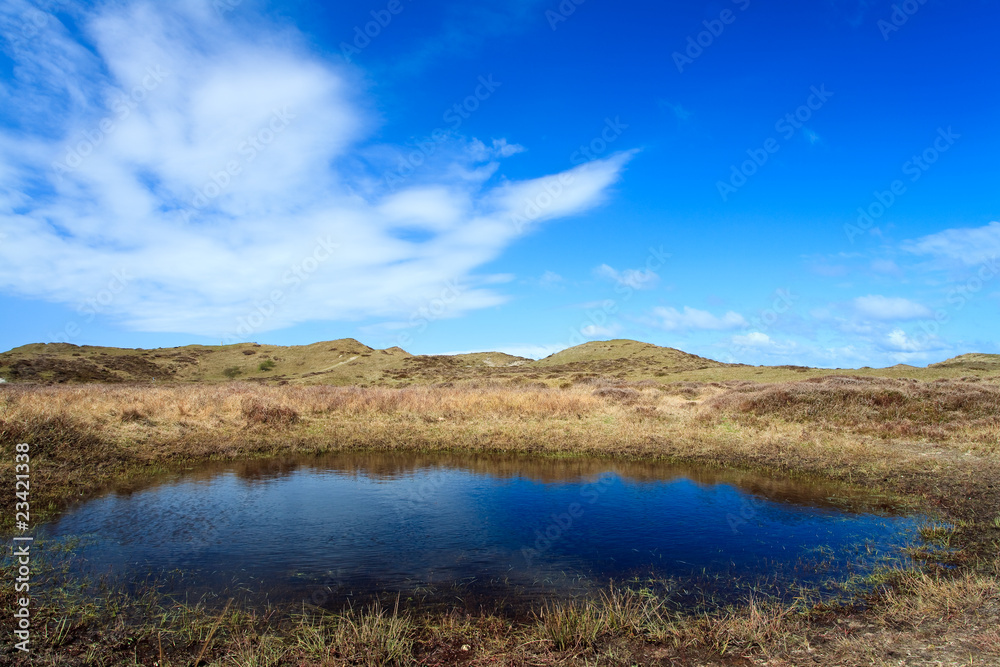 Puddle of water  near the dunes