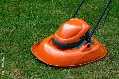 Εκτύπωση καμβά Garden hover lawn mower on grass