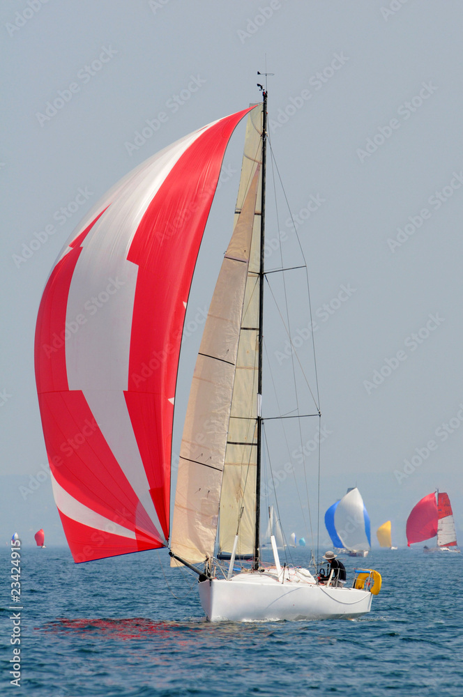 Fototapeta premium Course à la voile en classe Mini 6.50 class40, l'Imoca et la classe 50 en Bretagne France 