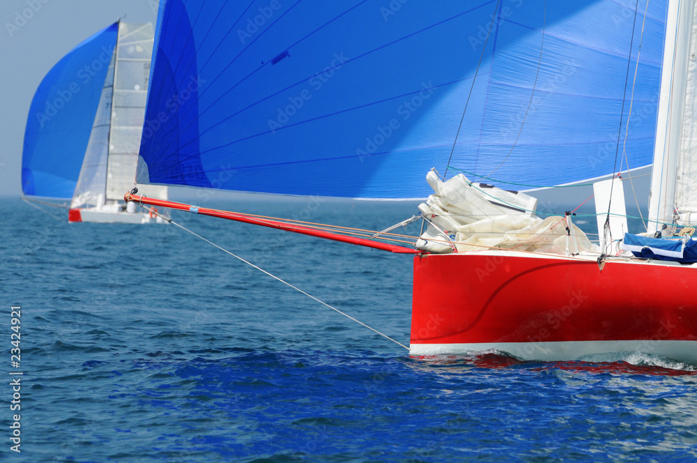 Fototapeta premium Course à la voile en classe Mini 6.50 class40, l'Imoca et la classe 50 en Bretagne France 