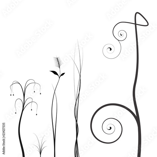 floral nature vector